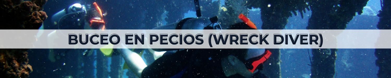 Buceo en Pecios (Wreck Diver)