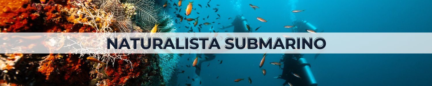 Naturalista Submarino